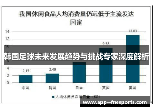 韩国足球未来发展趋势与挑战专家深度解析